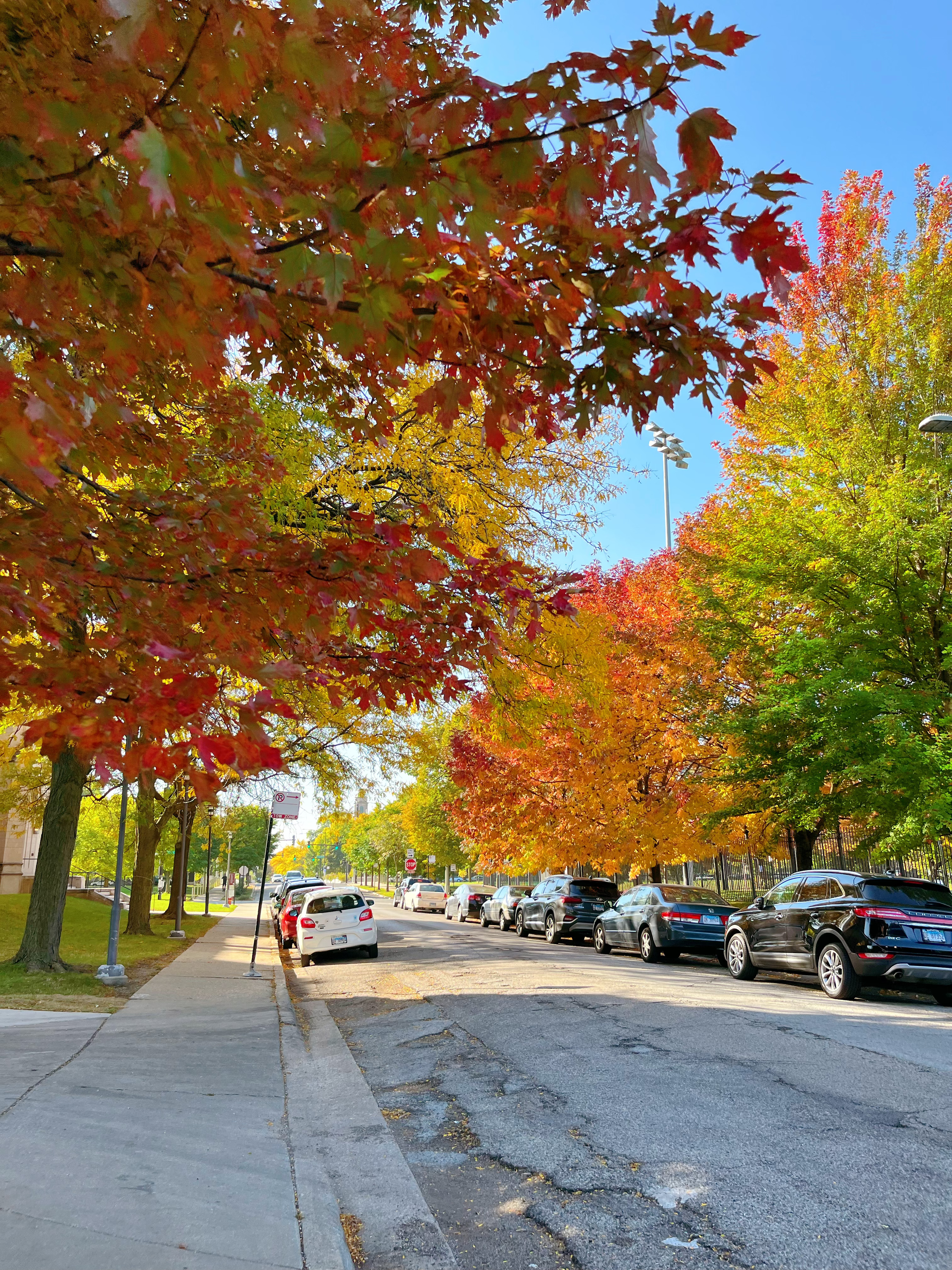 Colorful Street