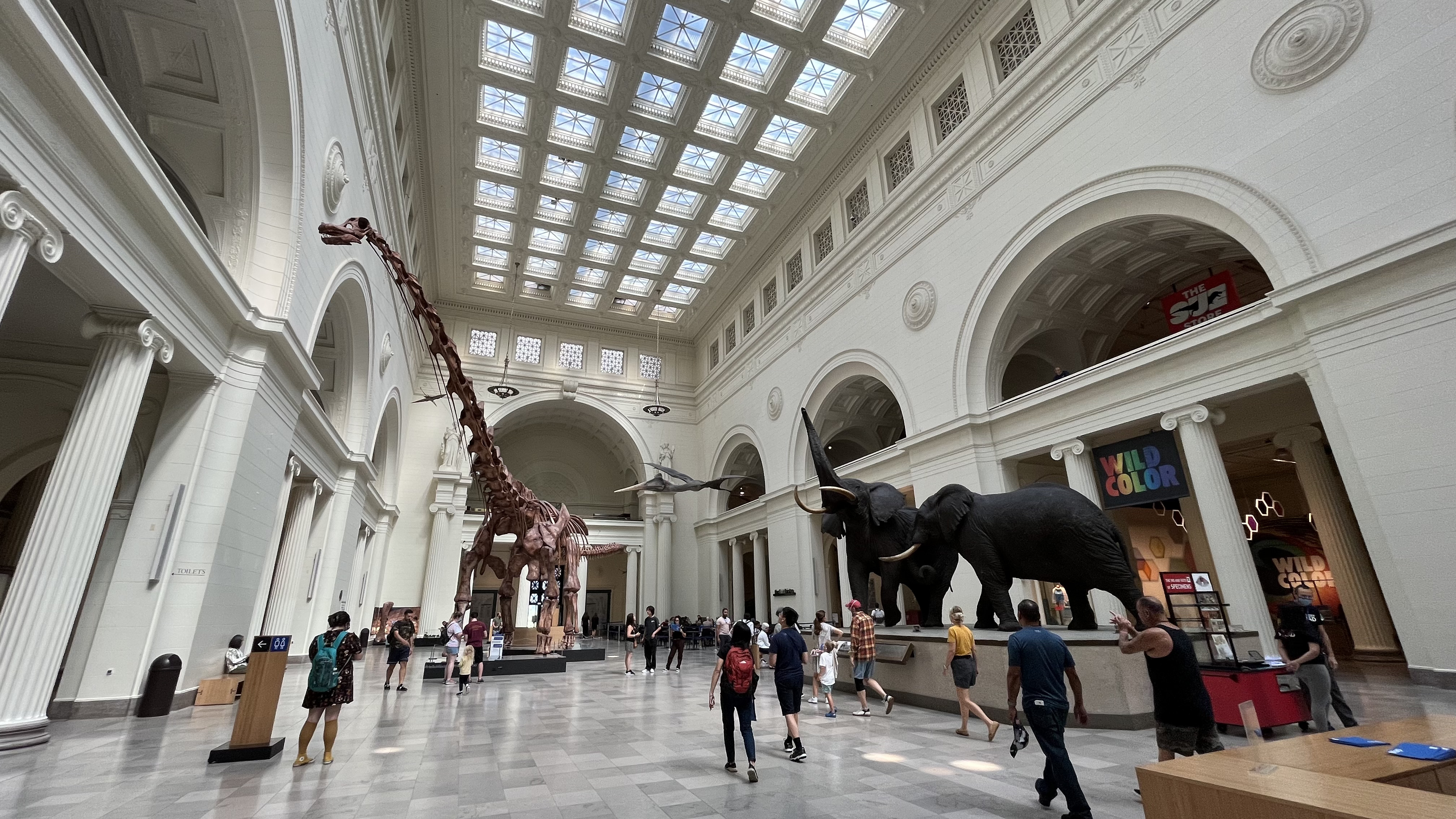 Field Museum