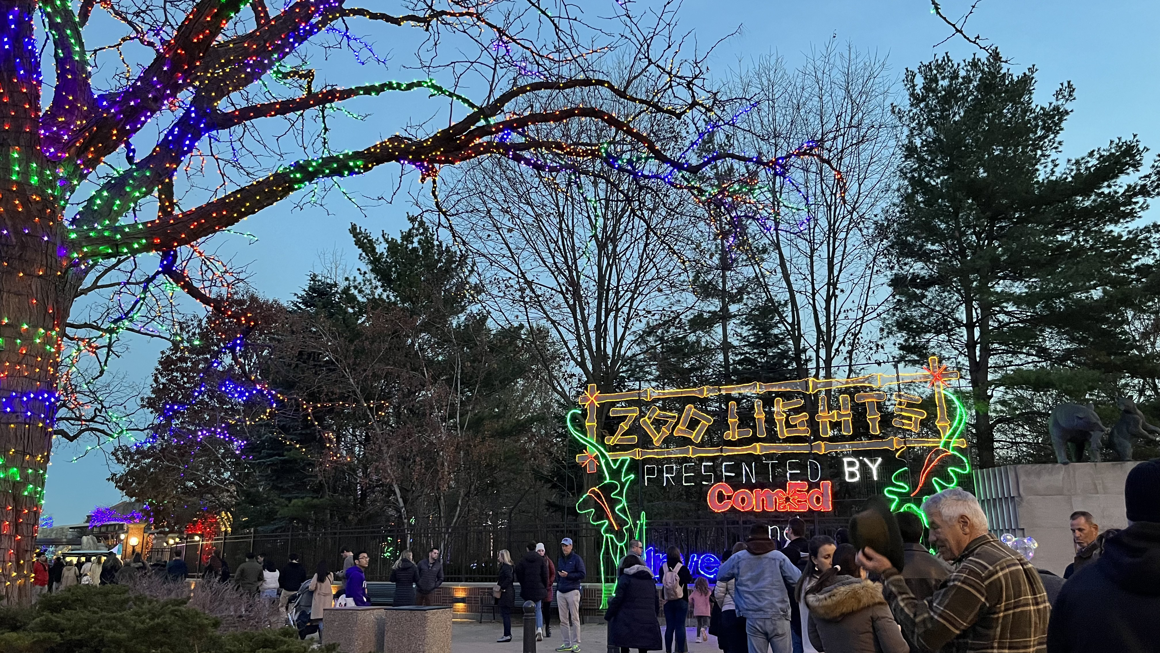 Zoolight